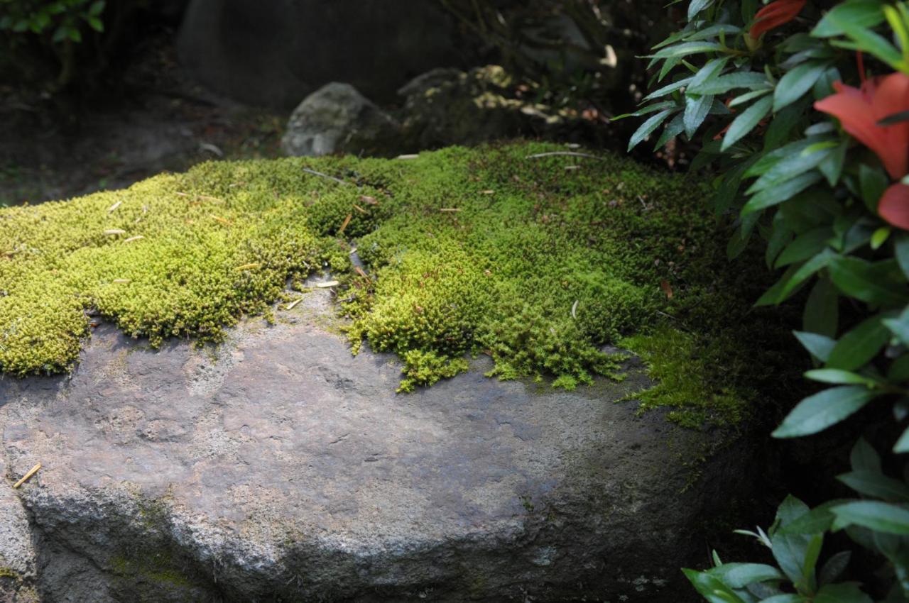 Historical Ryokan Senyukan Owani Ngoại thất bức ảnh