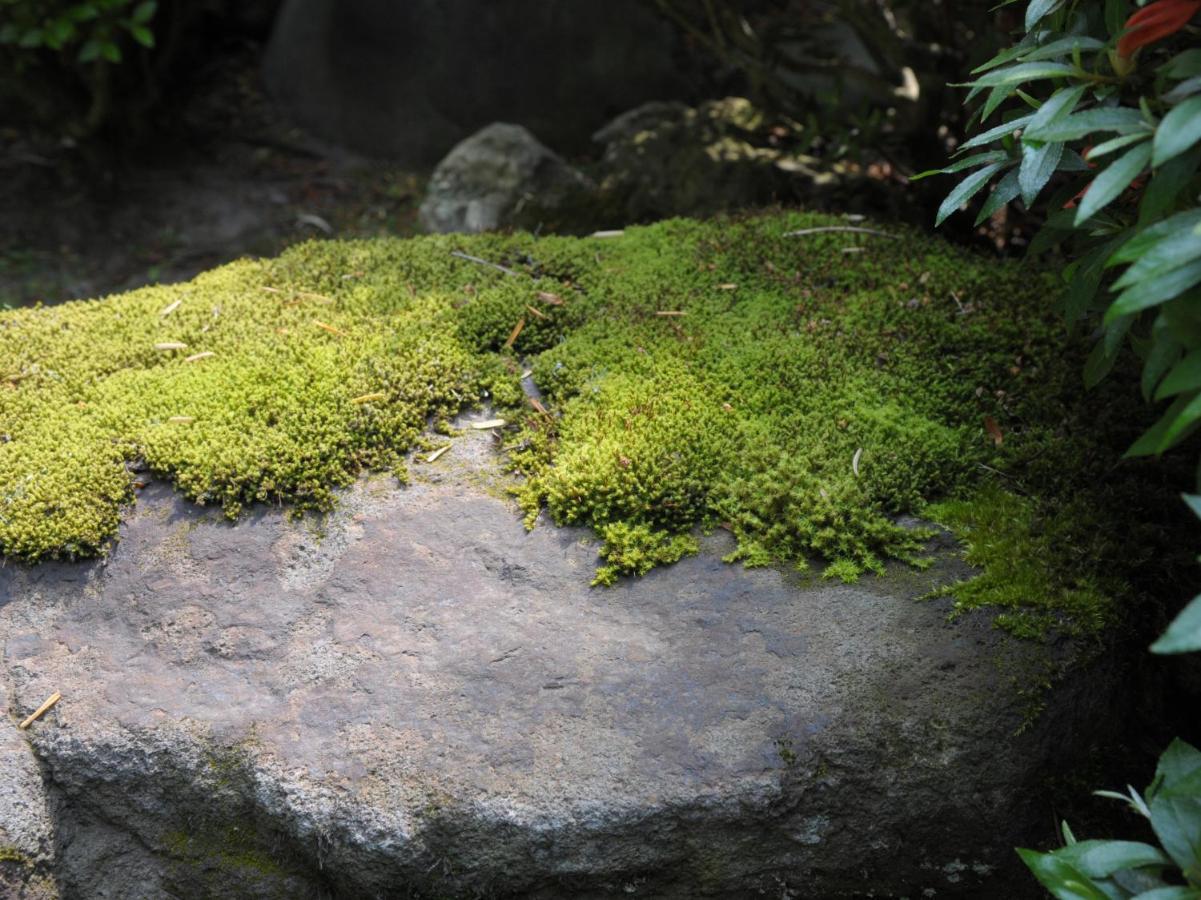Historical Ryokan Senyukan Owani Ngoại thất bức ảnh